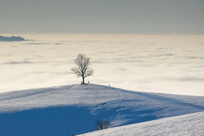 Historical Landscape